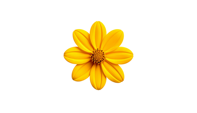 Overhead shot reveals a vibrant, sun-yellow flower isolated on solid white background Png5