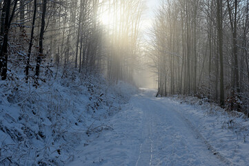 Ścieżka w g&oacute;rach na szlaku turystycznym
