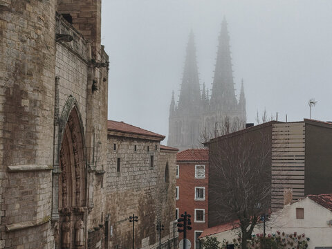 Torres g&oacute;ticas entre niebla con edificios modernos y &aacute;rbol rojo en primer plano de Catedral de Burgos, Espa&ntilde;a