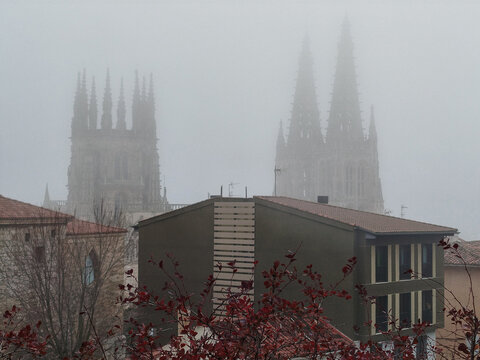Torres g&oacute;ticas de Catedral de Burgos, Espa&ntilde;a entre niebla con edificios modernos y &aacute;rbol oto&ntilde;al