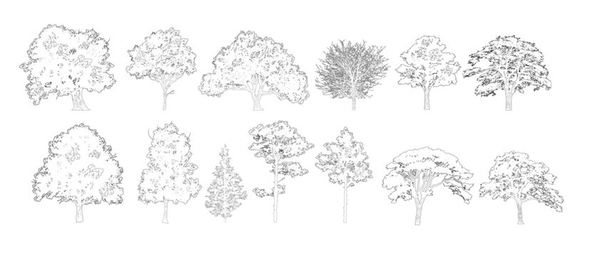 Minimalistic cad tree line drawing set ,  Outline tree set, side view graphic elements for landscape design and architectural drawing, isolated - vector illustration
