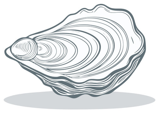 Detailed Line Art Illustration of an Oyster Shell and Pearl on White Background