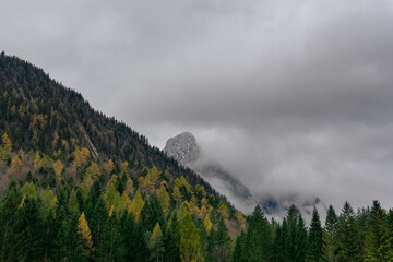 Foggy mountain peak rising above autumn forest with atmospheric clouds and mist