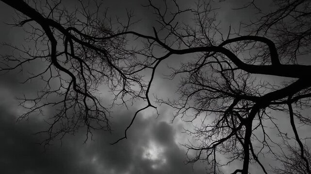 Silhouetted branches of a dead tree against a stormy, dark sky evoking a sense of mystery and foreboding