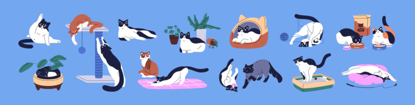 Set of cute naughty cats. Funny kittens play together. Adorable kitties have fun, sleep, stretching and scratching. Domestic animals life. Amusing behavior of pets. Flat isolated vector illustrations