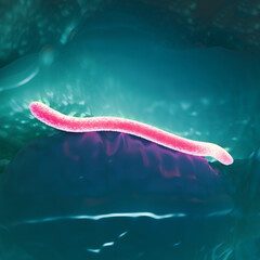 3D Illustration of Borrelia burgdorferi Bacteria &ndash; Lyme Disease Spirochete in Microscopic Tissue Environment