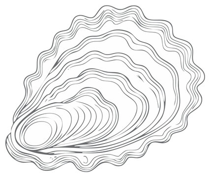 Detailed outline illustration of a single closed oyster shell with wavy edges and natural texture lines