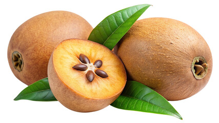 Fresh sapodilla fruit whole and halved with green leaves