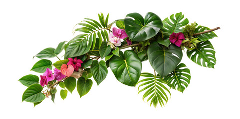 Tropical Floral Branch with Green Leaves and Flowers Isolated on Transparent Background