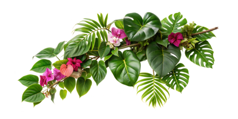 Tropical Floral Branch with Green Leaves and Flowers Isolated on Transparent Background