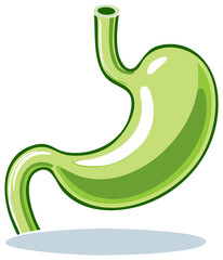 Obraz premium Vibrant green stomach illustration showcasing human organ anatomy for medical and educational purposes