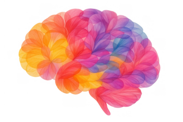 Human brain art illustrating creativity, mind health, innovative thinking, and intellectual potential, transparent background