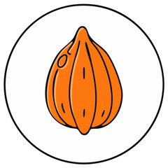 Cartoon style illustration of an orange fruit in a circle.