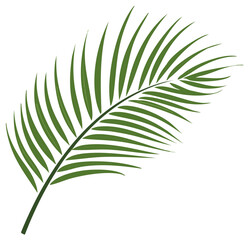 Fototapeta premium Stylized tropical palm leaf vector illustration for summer vacation and exotic jungle themes