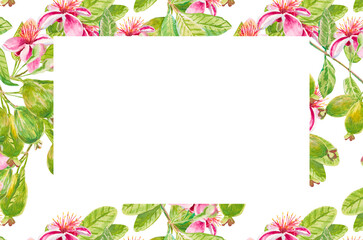 Feijoa. Template for invitation, greeting card, label, banner with place for text with feijoa flowers, leaves, buds, fruits. Watercolor hand drawn rectangular illustration with copy space
