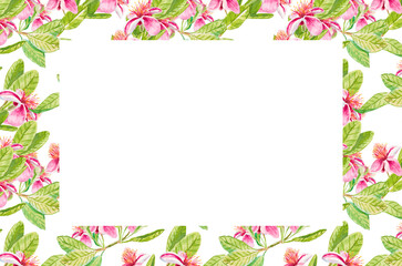 Feijoa flowers. Template for invitation, greeting card, label, banner with place for text with feijoa flowers, leaves, buds. Watercolor hand drawn rectangular illustration with copy space