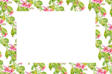 Template for invitation, greeting card, label, banner with place for text with feijoa flowers, leaves, buds, fruits. Watercolor hand drawn rectangular illustration with copy space