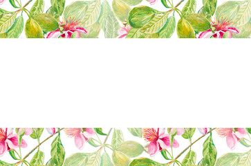 Template for invitation, greeting card, label, banner with place for text with feijoa flowers, leaves, buds, fruits. Watercolor hand drawn rectangular illustration with copy space