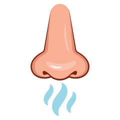 Front of nose who smell in flat design on white background