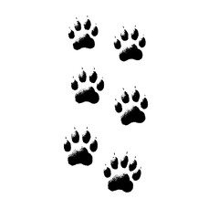 animal paw prints