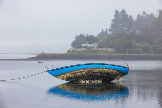 An old yacht tipped on its side in shallow water, exposing its fouled hull. Otago Harbour, New Zealand