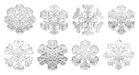 PNG Intricate crystalline snowflake designs, transparent background