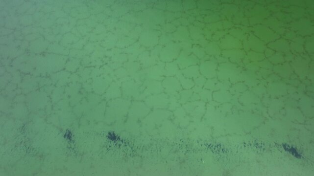 Close-up aerial view of green water surface with natural algae patterns, cracks, and abstract texture.