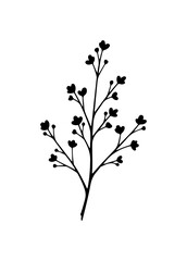 Obraz premium Elegant floral sprig for invitations and branding design