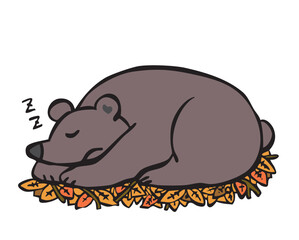 冬眠をするクマ　熊　くま