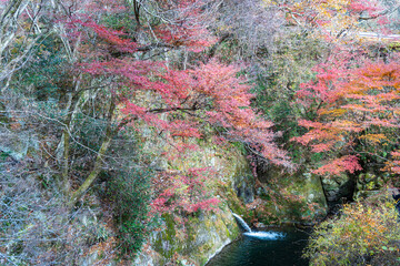 花貫渓谷の紅葉