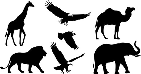 Silhouettes of wild animals giraffe, eagle, camel, lion and elephant in black color wildlife and nature concept