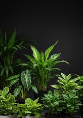Vibrant collection of lush green houseplants flourishes indoors, enhancing modern interior design with natural beauty and fresh ambiance ,living space ,natural ,green