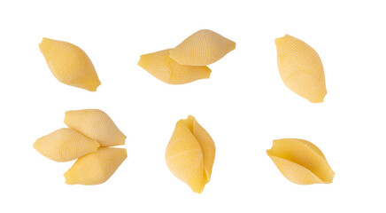 Naklejka premium Raw conchiglioni pasta isolated. Dry conchiglie noodle in shell shape, big Italian macaroni