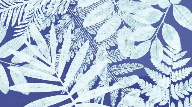 A close-up view of elegant blue leaves and ferns showcasing intricate patterns against a dark background.