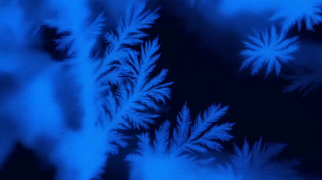 Close-up of intricate blue frost patterns resembling delicate leaves against a dark background.