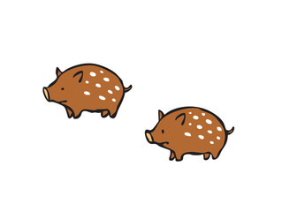 かわいいウリ坊　イノシシ　猪