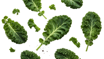 Fresh green kale leaves and small pieces isolated on transparent background, vibrant leafy vegetable with curly texture, healthy organic ingredient ideal for nutrition, diet, salad and cooking themes