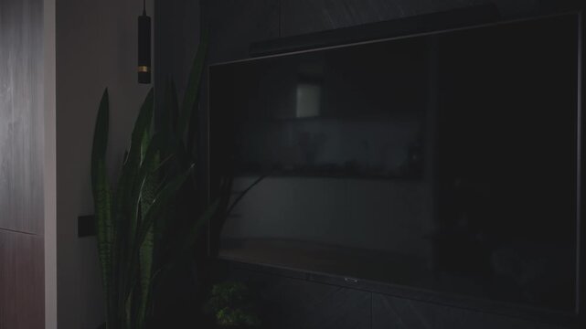 Smart home system automatic switching on of light by twilight dusk sensor for indoor flower green plant. lights turn on close-up spot lighting lamp, light home empty room black TV zone, no one nobody