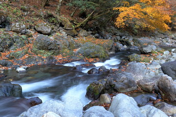 べふ峡　秋の川原　（高知県　香美市）