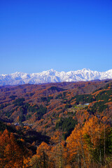 Fototapeta premium 秋の大望峠からの眺め