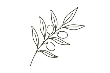 Obraz premium Minimalist line art of olive branch with leaves and olives