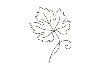 Elegant minimalist maple leaf line art drawing with curled stem design