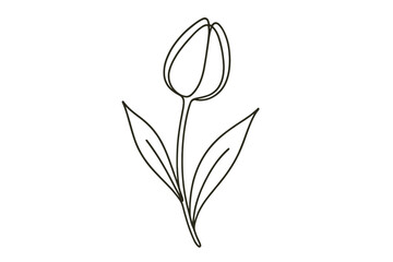 Obraz premium Minimalist line drawing of a single tulip