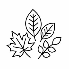 Variety of autumn fall leaves line icon