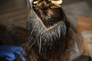Hair Coloring Process in a Salon With Focus on Application Technique and Tools Being Used for a Fresh Look