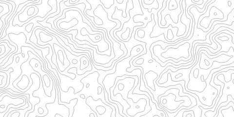 Contour abstract map relief land outline. Topographic map patterns. White wave paper curved reliefs abstract background. Background of the topography map. Abstract pattern with lines.	
