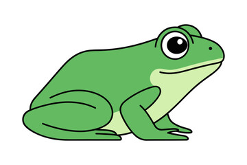 A green frog vector illustration