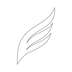 feather isolated on white