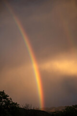 Arc-en-ciel un soir d'orage en Namibie