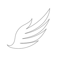 white feather isolated on white